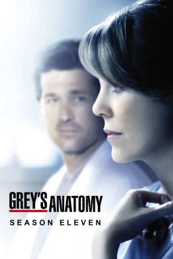 Ca Phẫu Thuật Của Grey (Phần 11) (Grey's Anatomy (Season 11)) [2014]