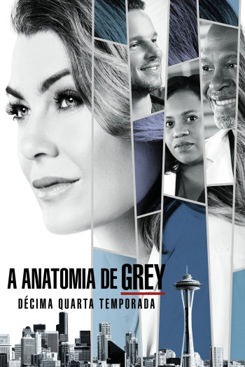 Ca Phẫu Thuật Của Grey (Phần 14) (Grey's Anatomy (Season 14)) [2017]
