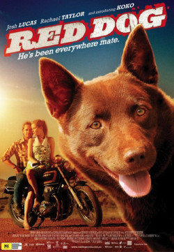 Chú Chó Đỏ (Red Dog) [2011]
