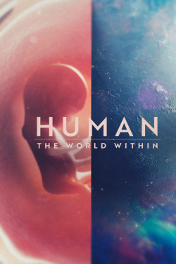 Con người: Thế giới bên trong cơ thể (Human: The World Within) [2021]