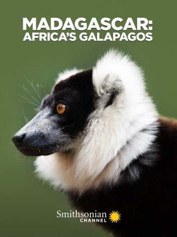 Madagascar: Africa's Galapagos (Madagascar: Africa's Galapagos) [2019]