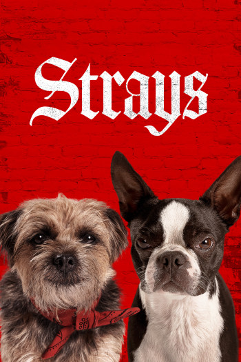 Những Chú Chó Bụi Đời (Strays) [2023]
