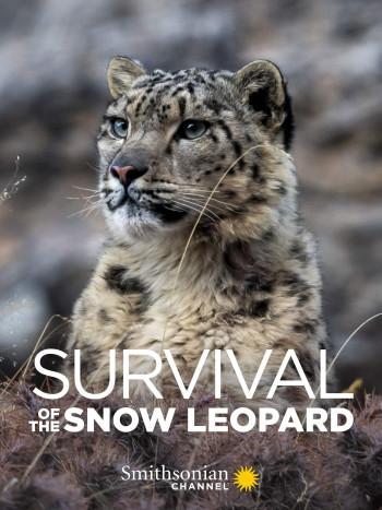 Survival Of The Snow Leopard (Survival Of The Snow Leopard) [2020]