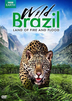 Thiên Nhiên Brazil Hoang Dã (Wild Brazil) [2014]