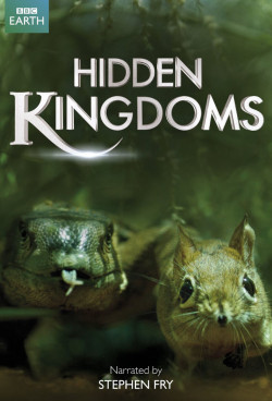 Vương Quốc Bí Ẩn (Hidden Kingdoms) [2009]